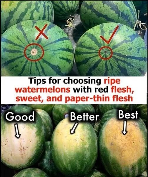 How to Choose a Watermelon That’s Just Right: A Complete Guide