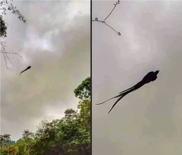A Peculiar Photograph Has Been Circulating on Social Media in Recent Hours — But There’s No Reason to Panic