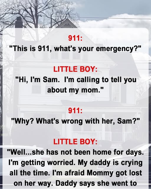 Boy Calls 911 to Find His Mom — What the Officer Did Next Touched Everyone