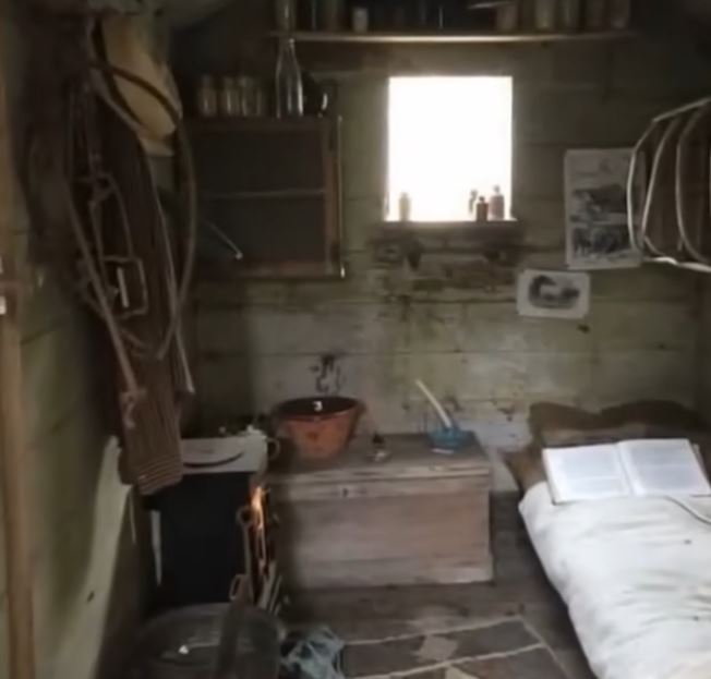 I believed the old cabin had no value—until I pried open the floorboards