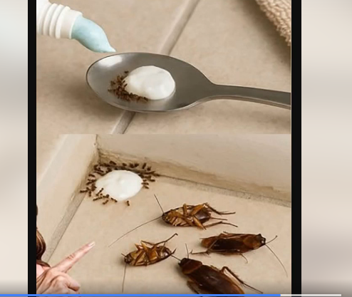 Natural Pest Control: The 3-Ingredient Trick That Really Works