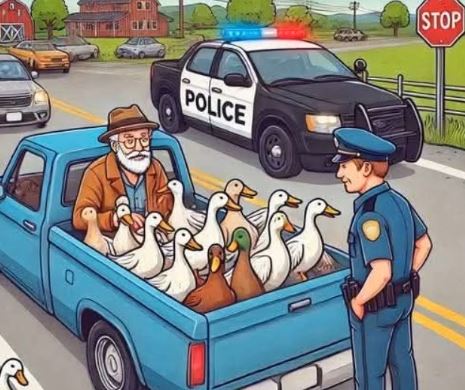 Officer Orders Man to Take Ducks to the Zoo — Next Day They’re Headed to the Beach in Sunglasses